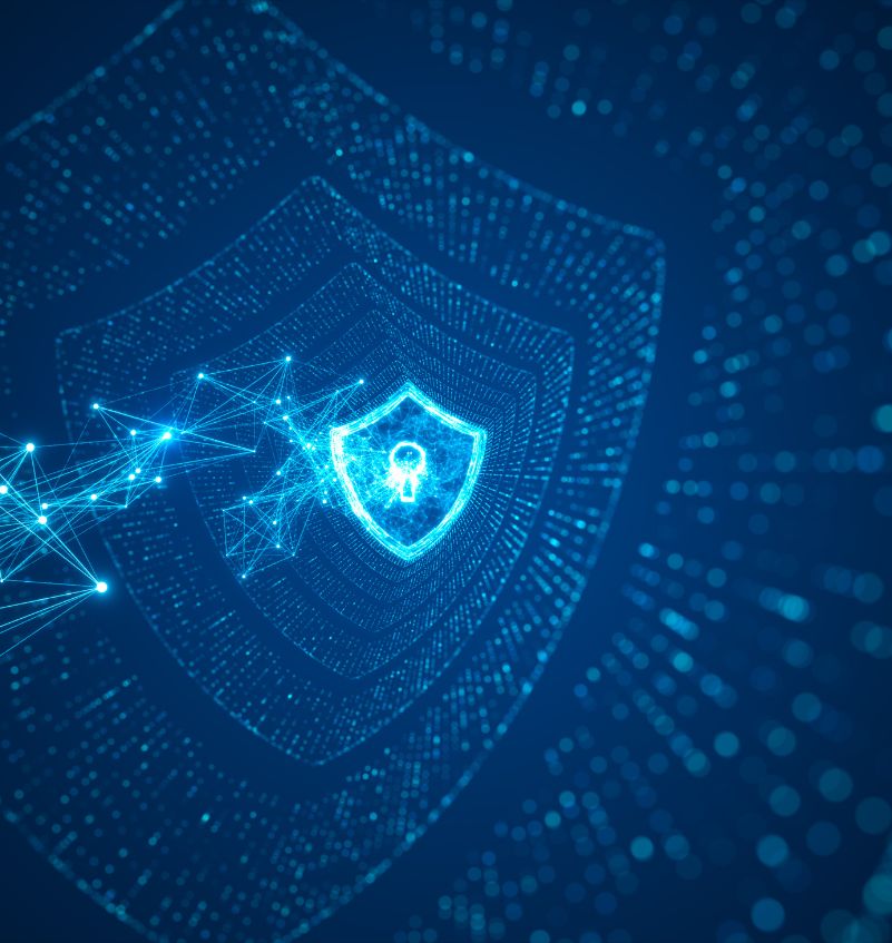 Identity Layer Shield